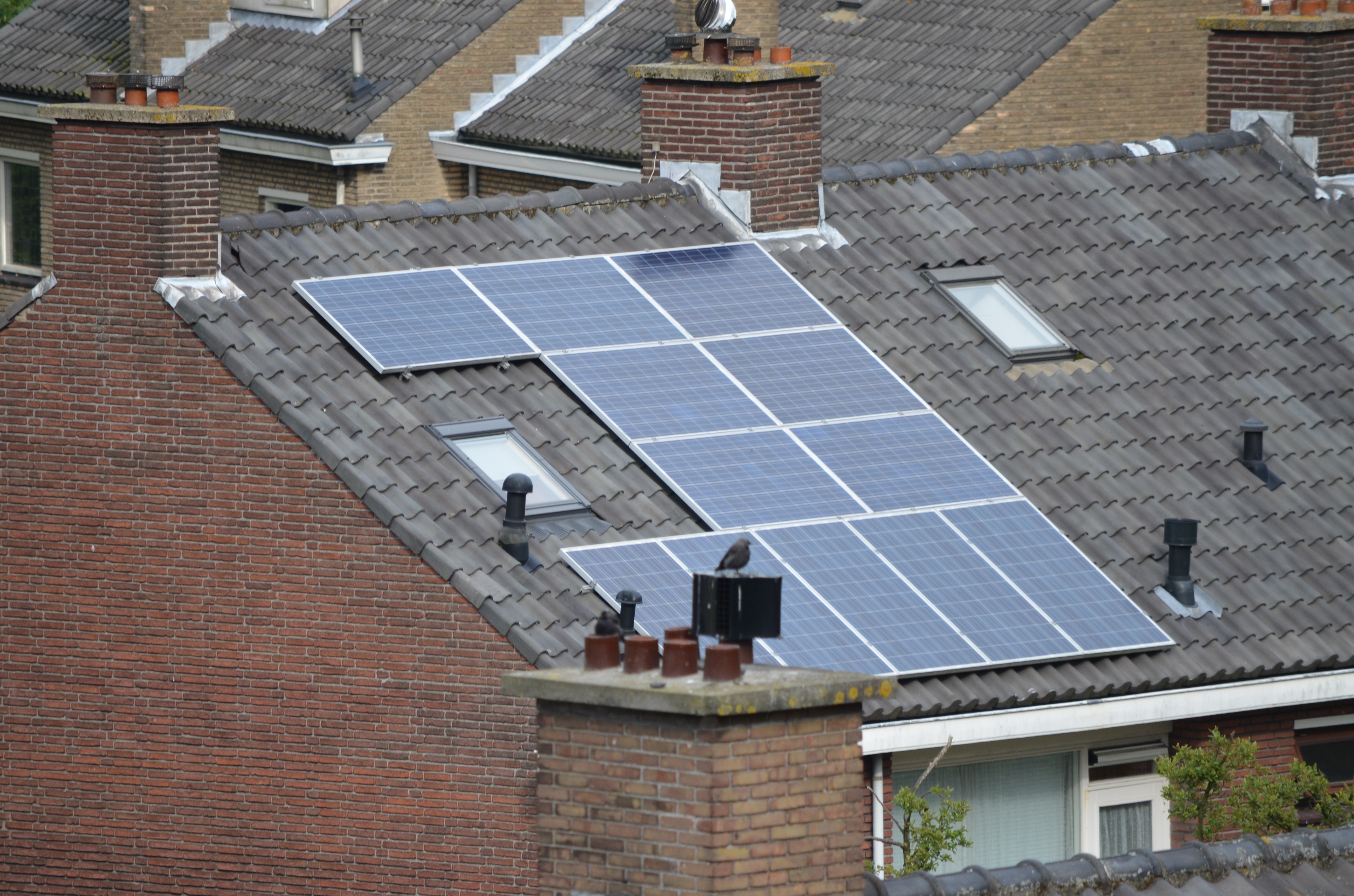 Solar_panel_on_a_roof_The_Netherlands_2