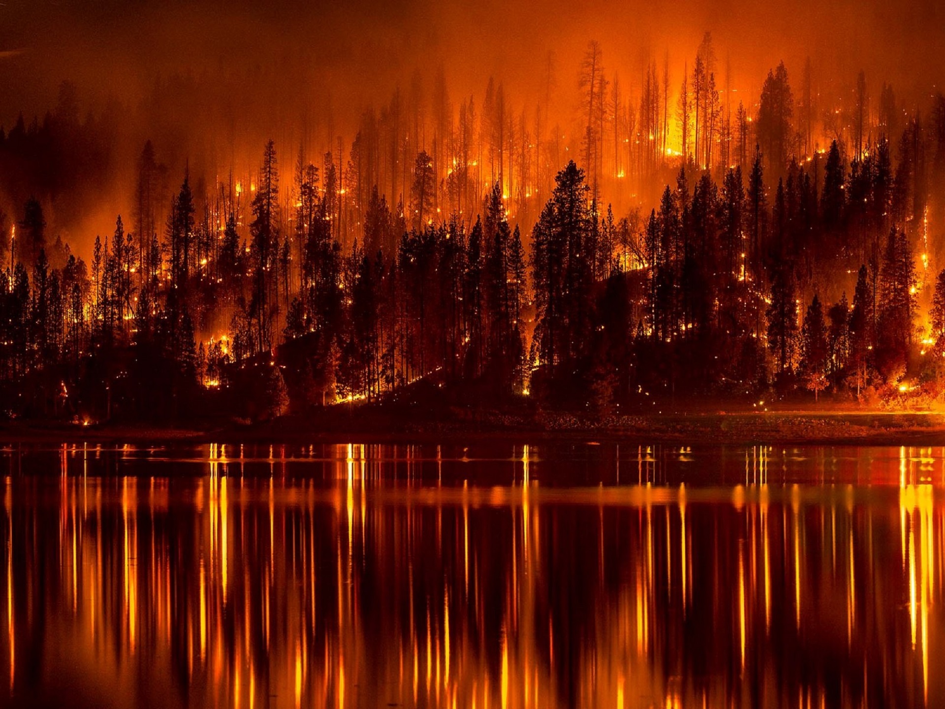 Image credit: Pixaby user 'skeeze' https://pixabay.com/en/forest-fire-flames-burning-water-991479/