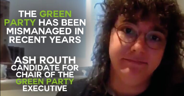 The Green Party has been mismanaged in recent years - Interview with ...