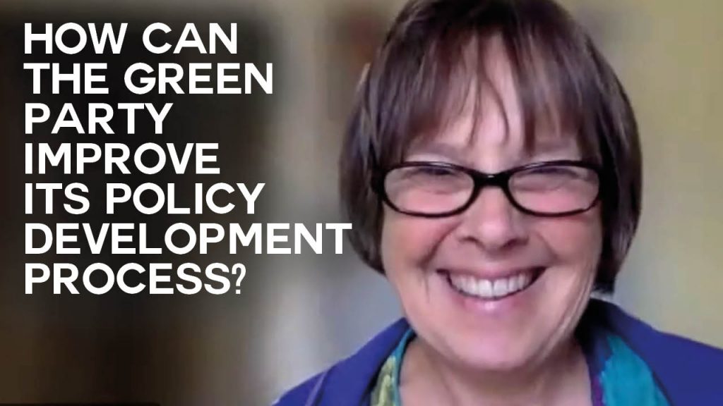 A photo of Anne Gayfer with text reading: How can the Green Party improve its policy development process?