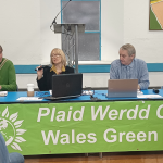 Wales Green Party agrees to support universal free school meals, including in the holidays